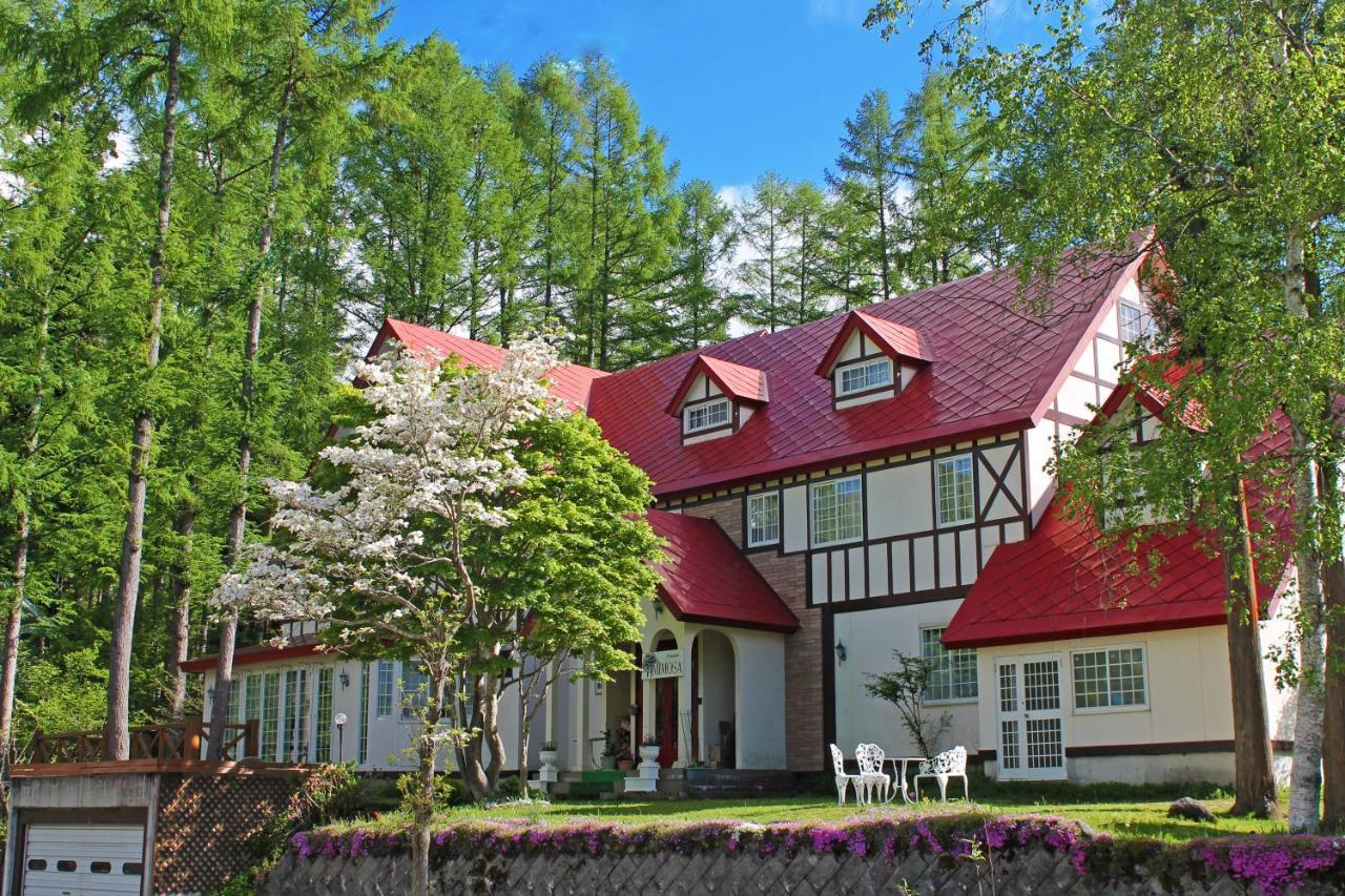 Hotel ピュアモール ミモザ Hakuba Zewnętrze zdjęcie